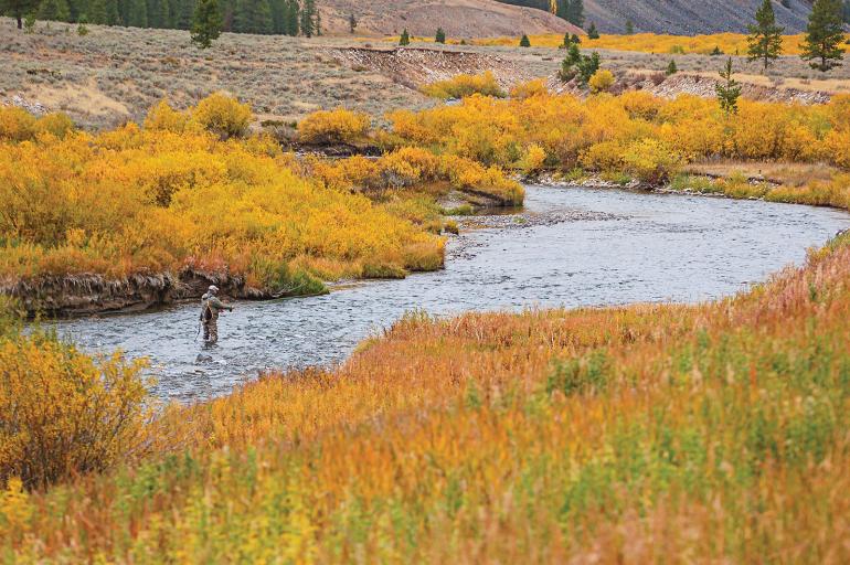 Gallatin river fly fishing fall colors