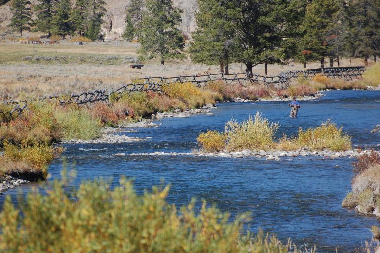 Gallatin river fall colors fly fishing