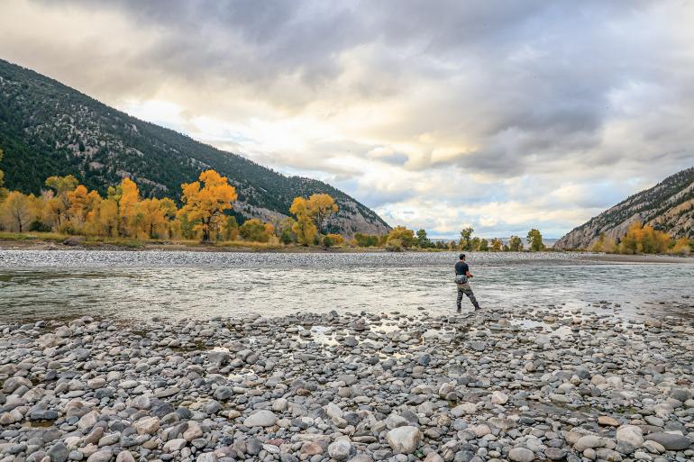 carter's bridge yellowstone fly fishing