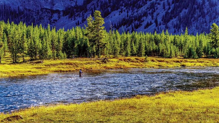 Madison river fly fishing