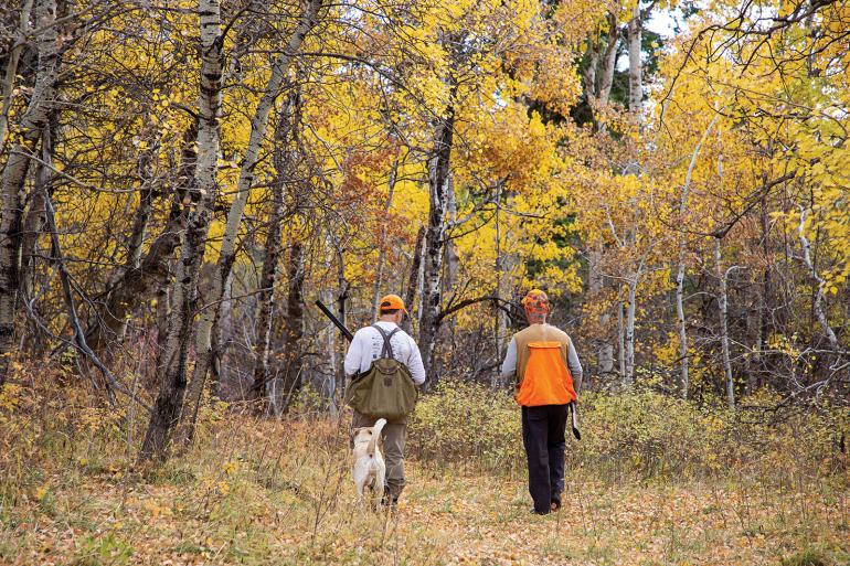 grouse hunting