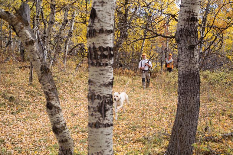 Grouse hunting