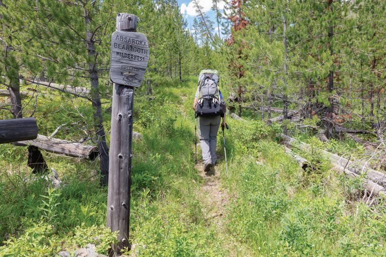 backpacking AB wilderness