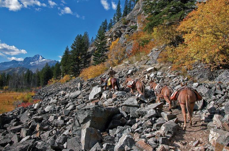 horse packing AB wilderness