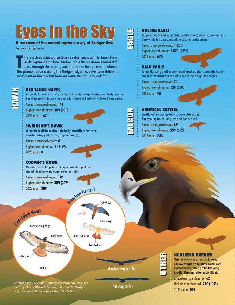 Briders raptors by the numbers