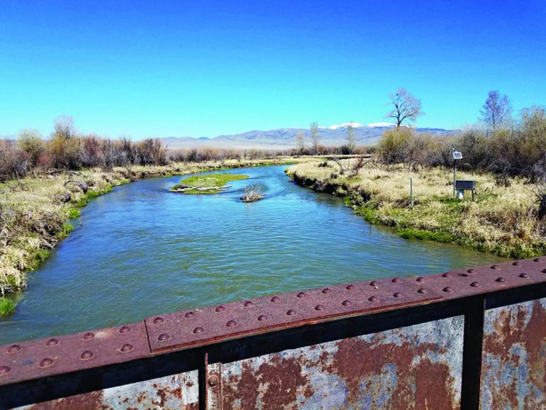 Seyler Lane Ruby River