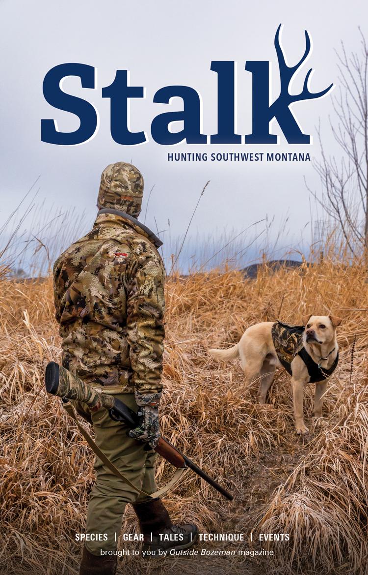 Stalk 2024-25 cover