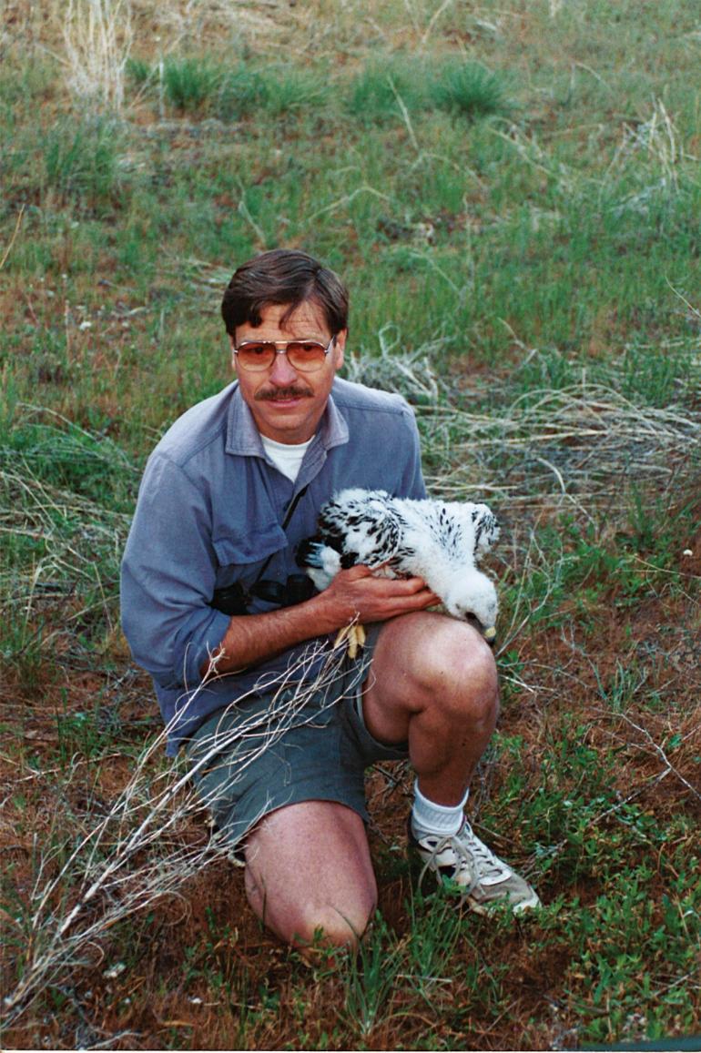 Steve Hoffman eagle chick