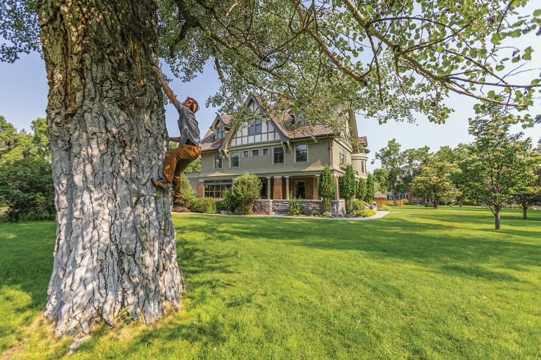 tree climbing story mansion