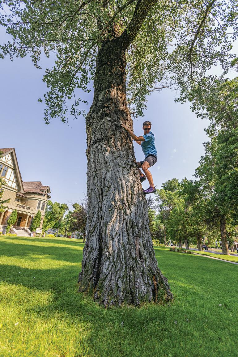 tree climbing story mansion