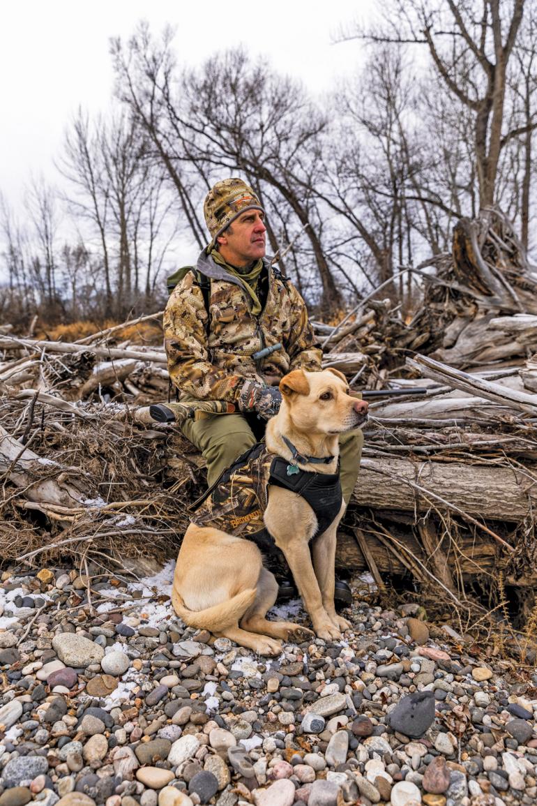 dog and hunter waterfowl