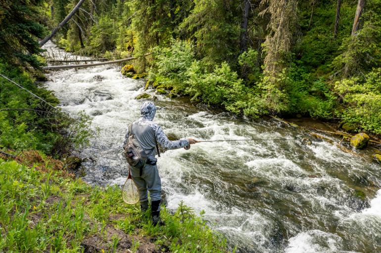 Fly fisherman fishing a creek