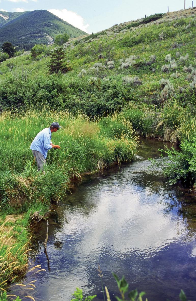Fly fisherman on the bank of a grassy stream