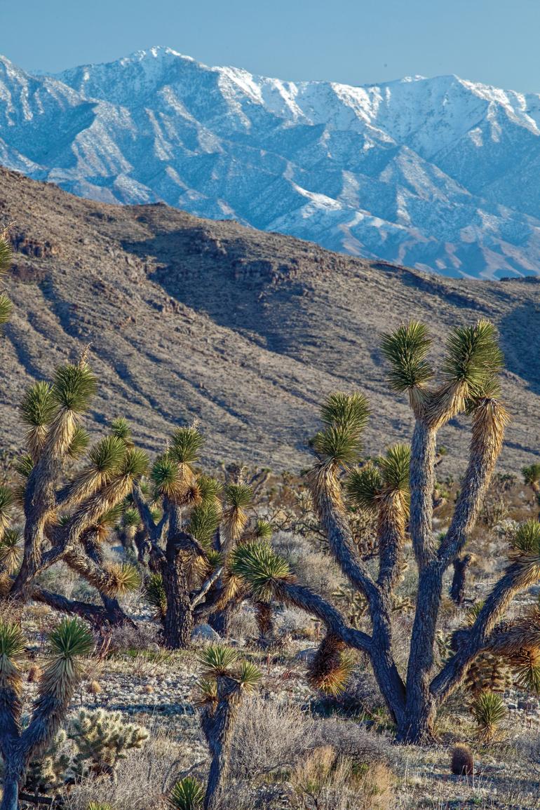 desert mountains