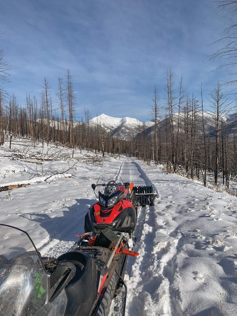 Grooming Seeley Lake