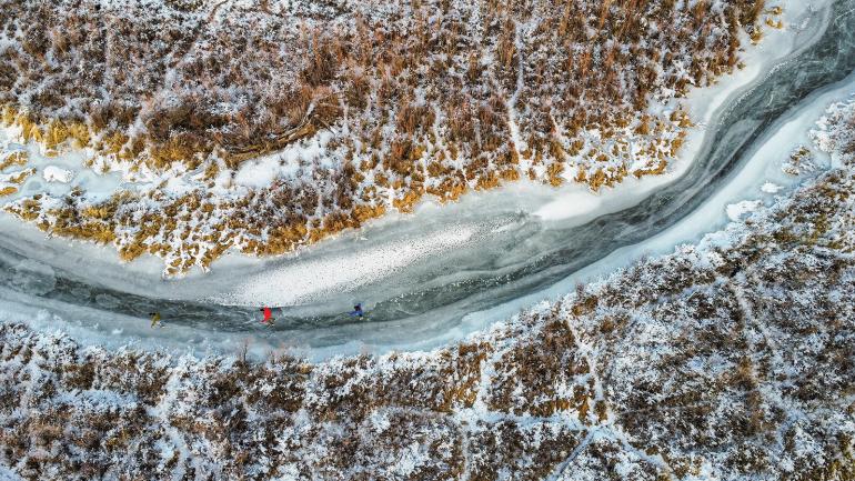 wild ice skating