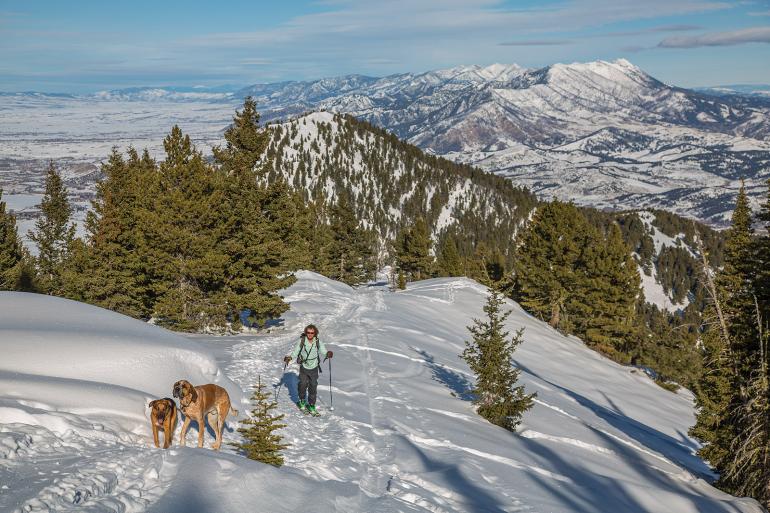 ski touring mt ellis with dog