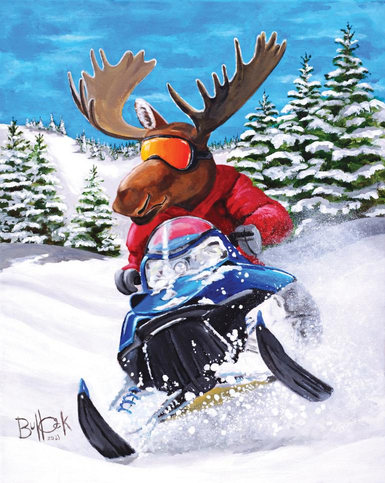 moose snowmobiling