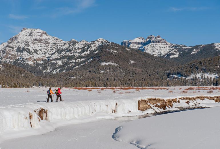 snowshoeing yellowstone