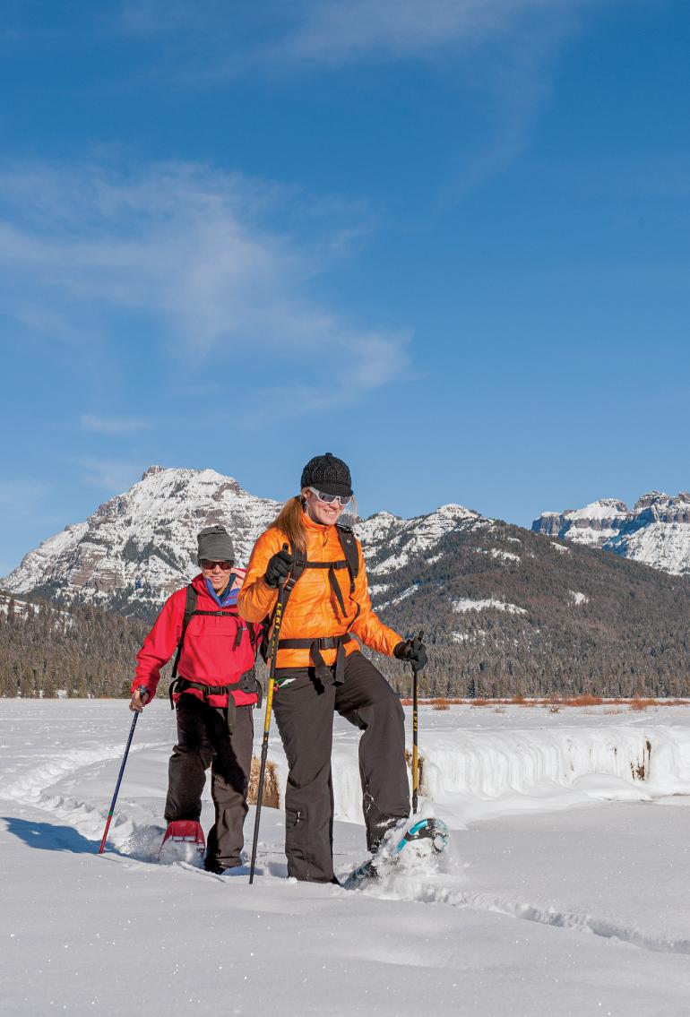 snowshoeing yellowstone