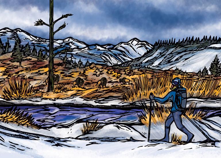 snowshoeing illustration