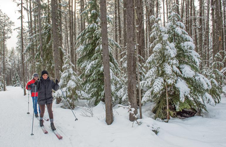 cross country skiing