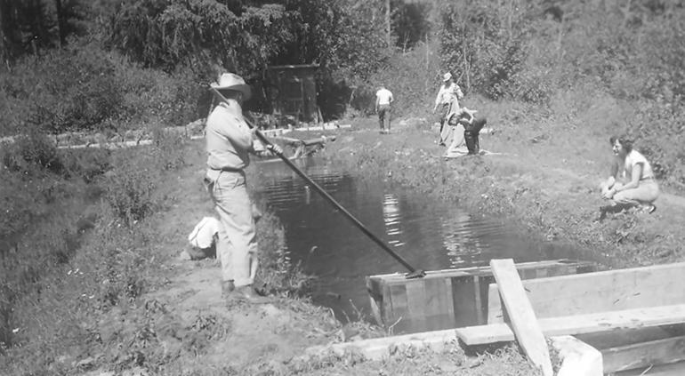 Powell ranger district holding pond