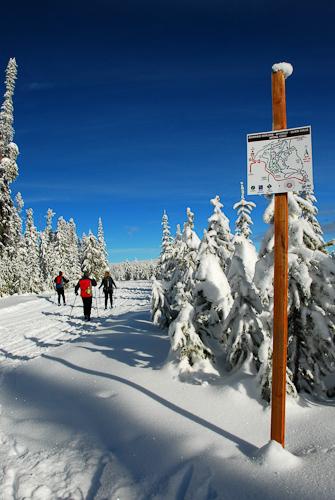 lost trail nordic ski