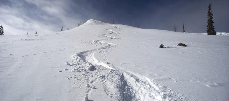 Fresh tracks at Lost Trail