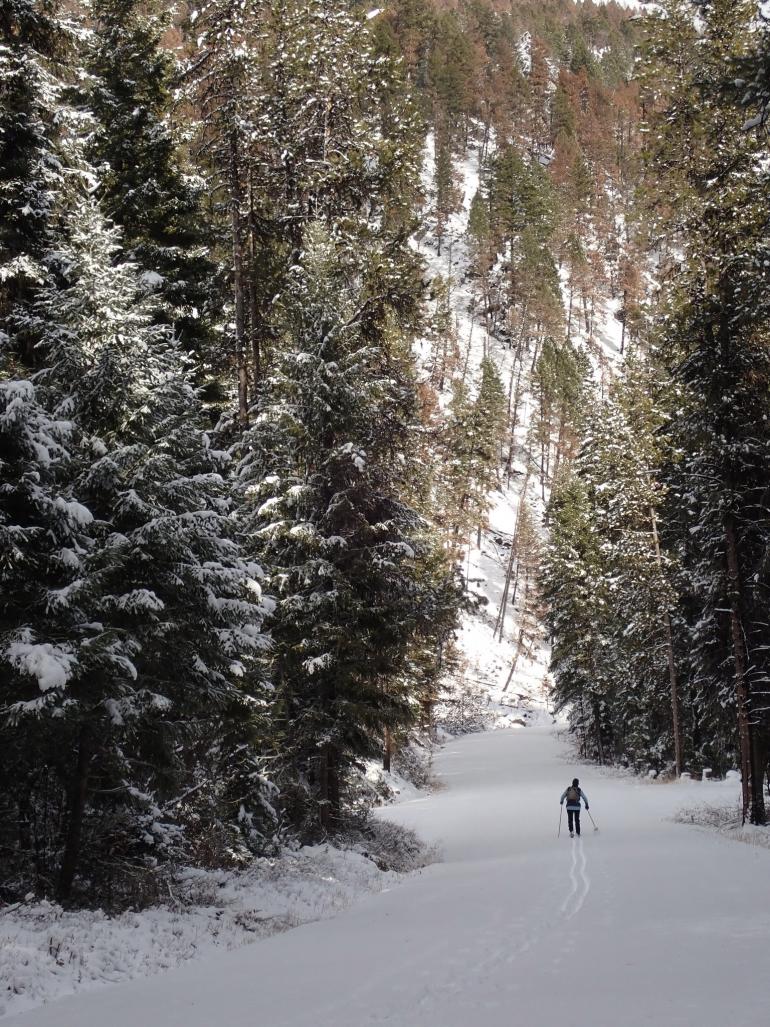 Cross country skiing at Lost Trail