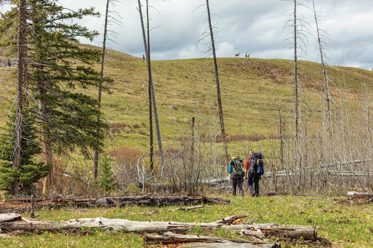 backpacking yellowstone