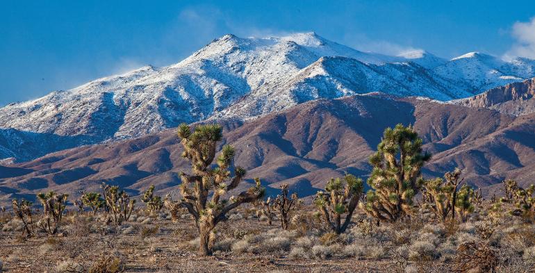 utah desert