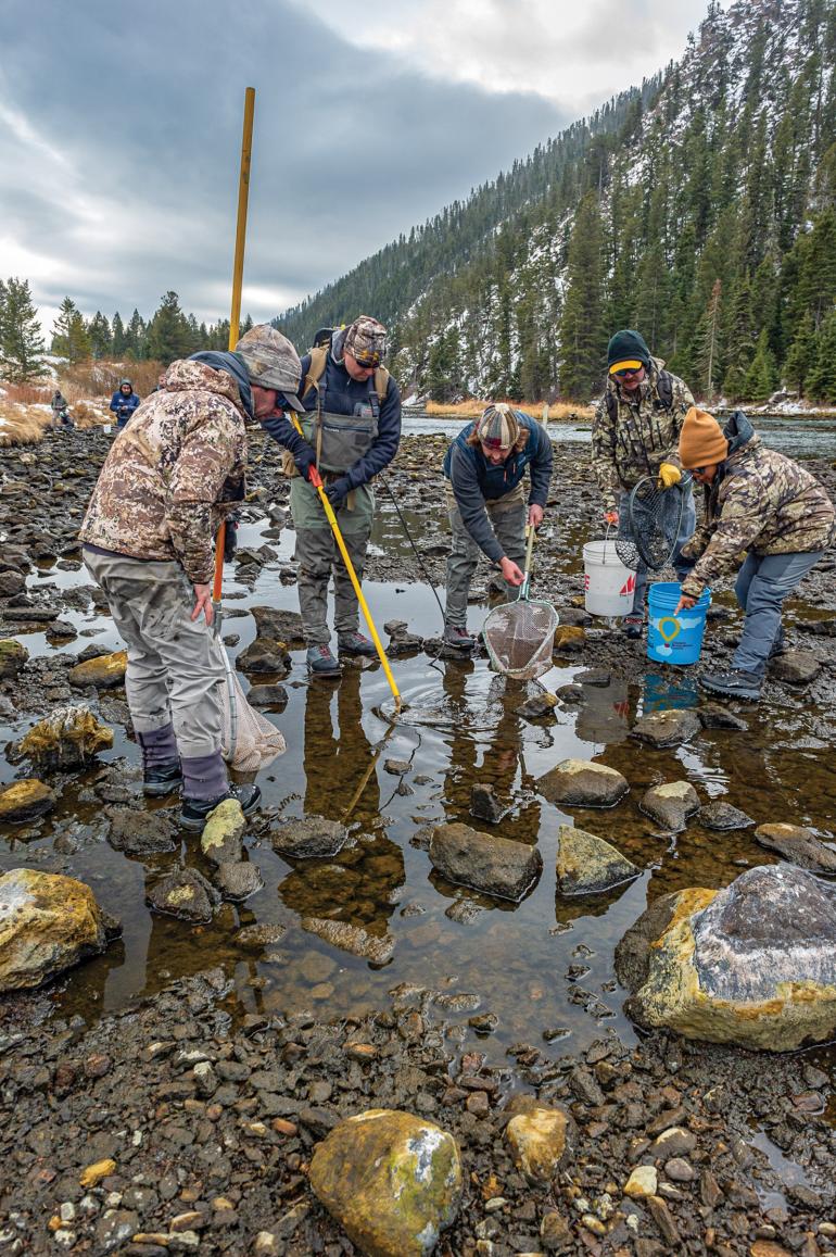 madison river fish rescue