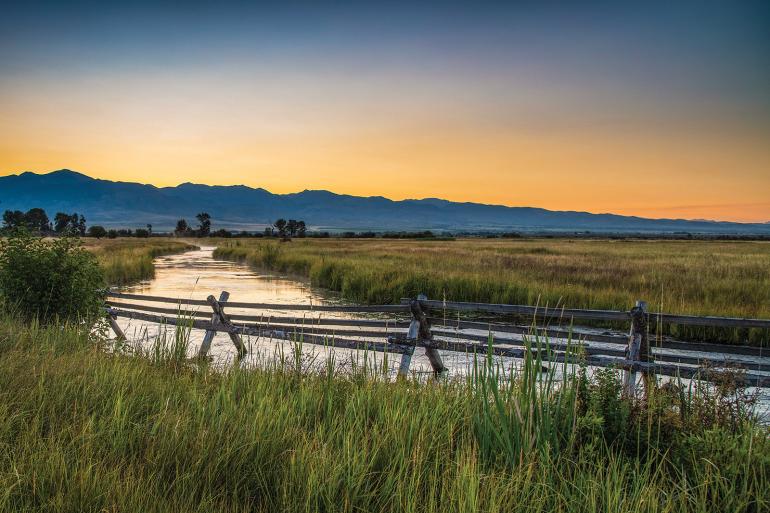 Madison Valley spring creek