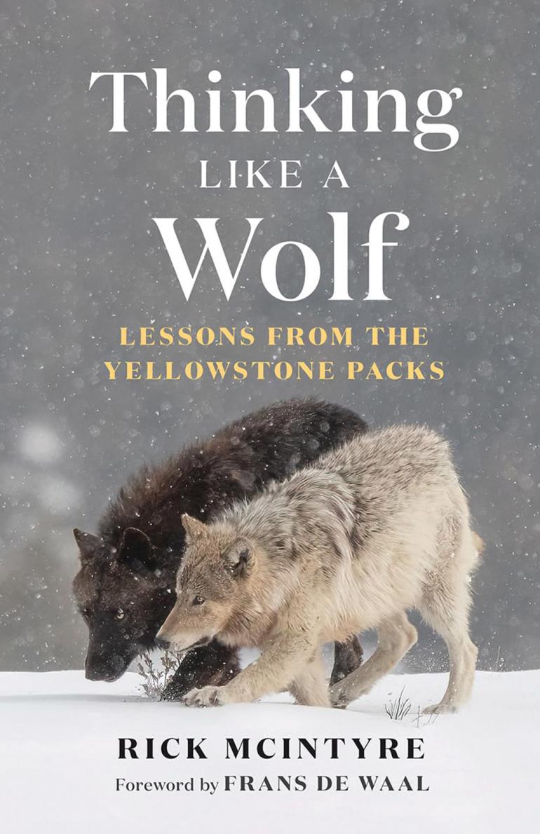 thinking like a wolf book