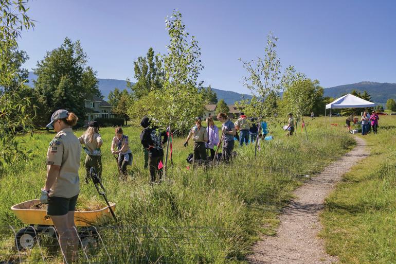 tree planting