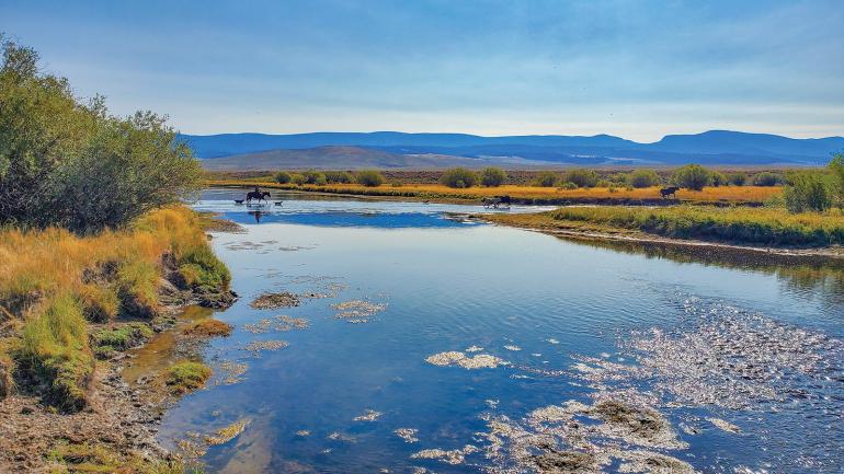 big hole river low water
