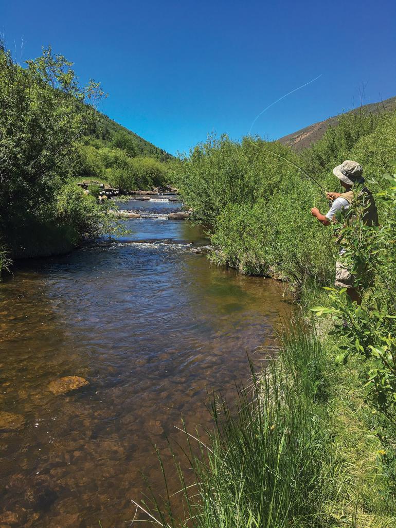 small mountain creek fishing