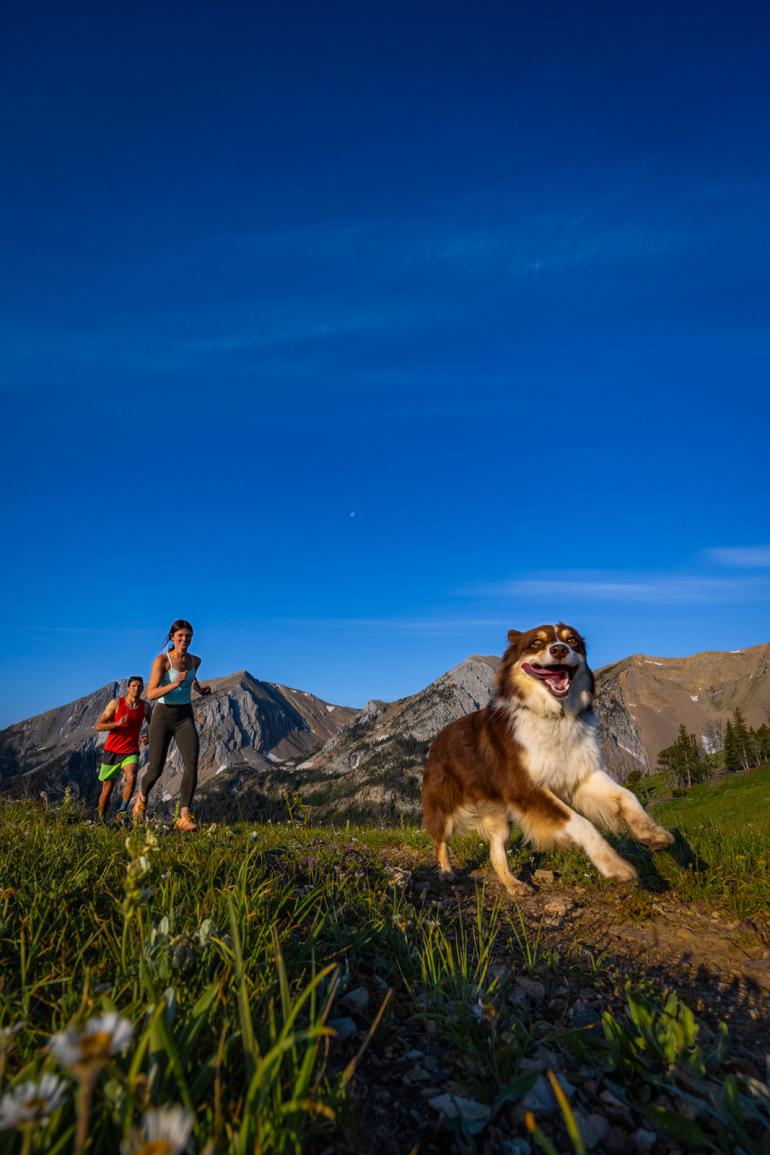 Trail running with dog