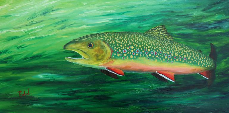 "Brookie" by Pam Dolan