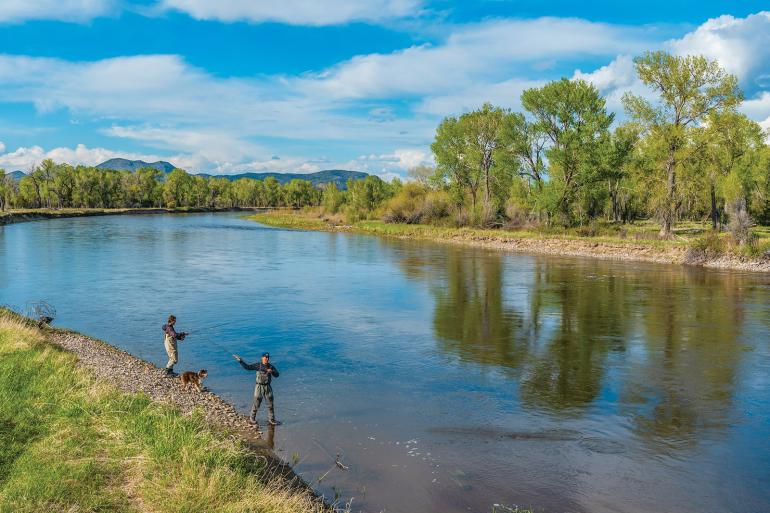 Fishing at Williams bridge