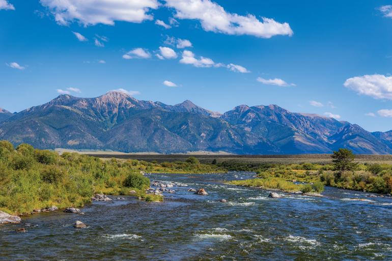 The Madison River