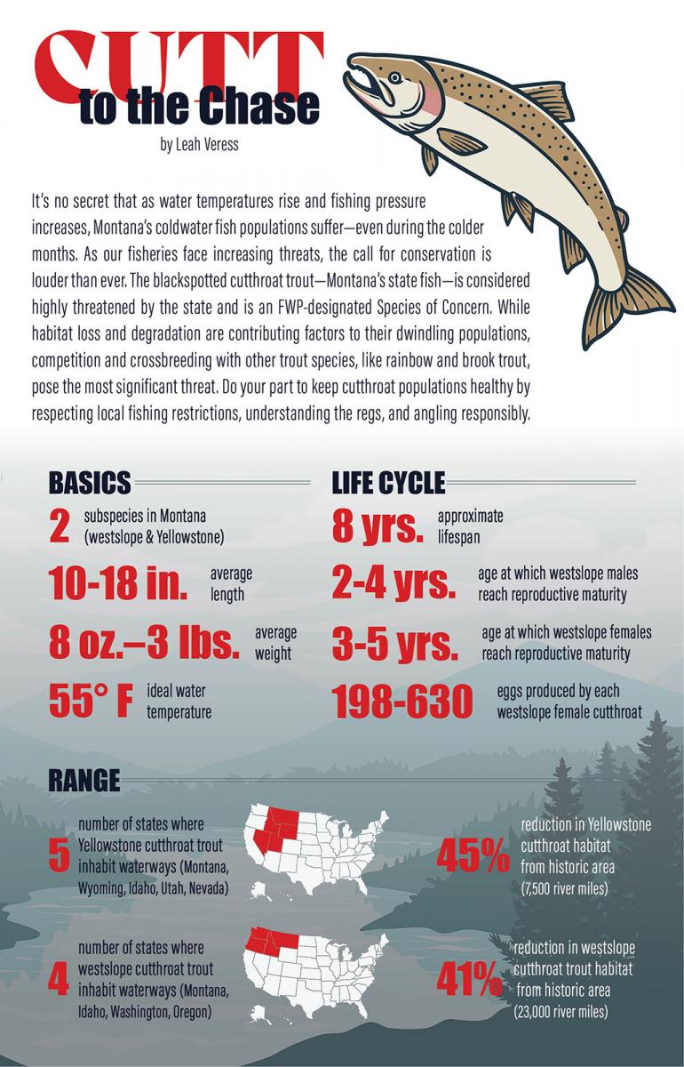 Understanding Cutthroat Trout Populations