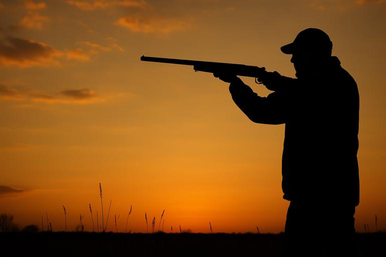bird hunter sunset