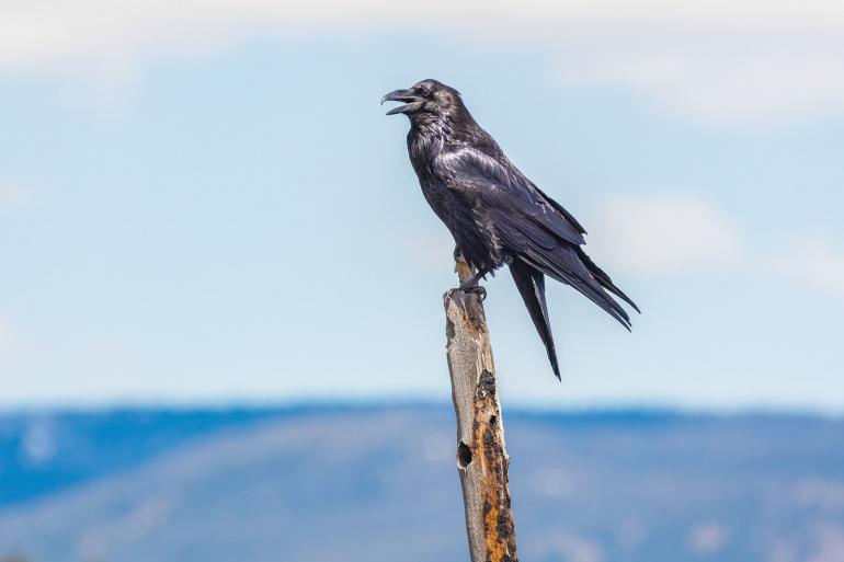 photo courtesy National Park Service