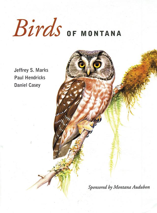 Birds of Montana, Montana Audubon, Montana Birding