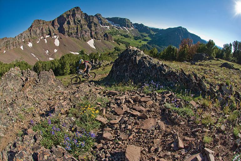 Custer Gallatin Forest Plan Revision, Bozeman Mountain Biking, Montana Mountain Bike Alliance