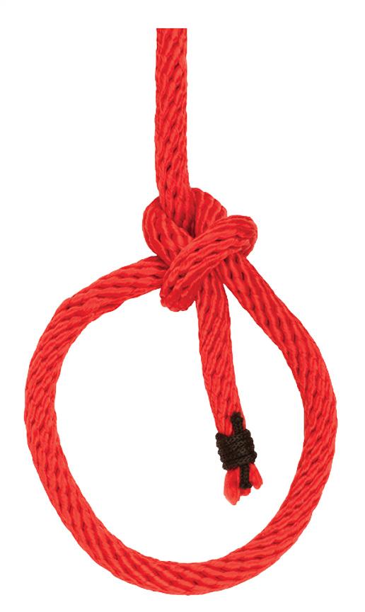 Bowline knot, rafting knots
