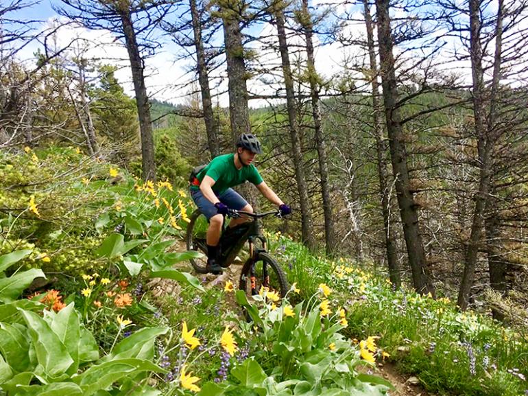 Stone Creek Trail Bangtail Divide South Outside Bozeman