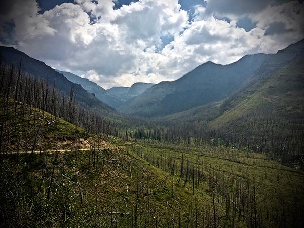 Custer Gallatin National Forest, Forest Plan Revision, DEIS